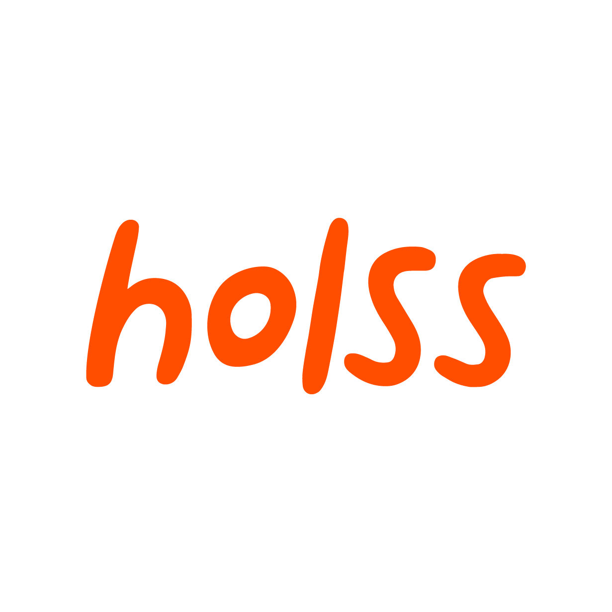 Logo Holss